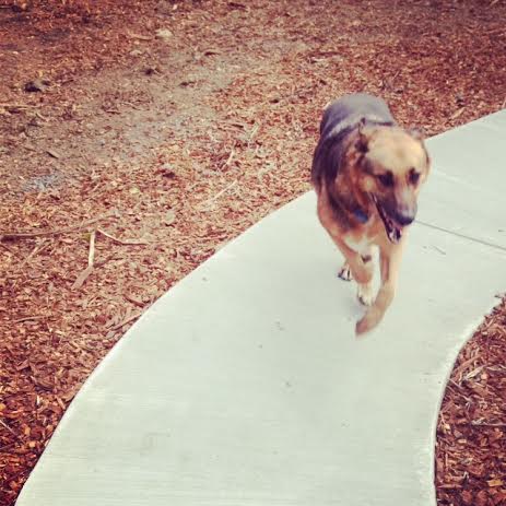 Are you afraid of pleasure?